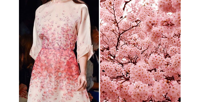 طراحی Blumarine با الهام از فصل بهار و شکوفه‌ها